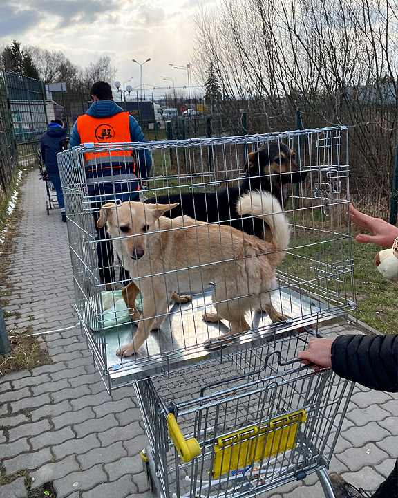 Helping Ukrainians