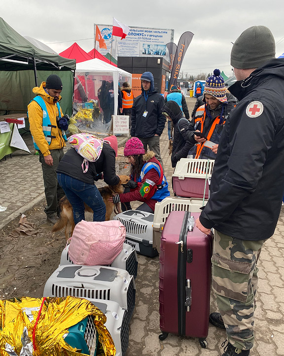 Helping Ukrainians